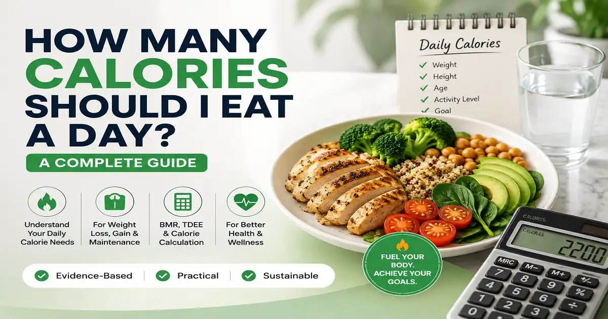 How many calories should I eat a day guide